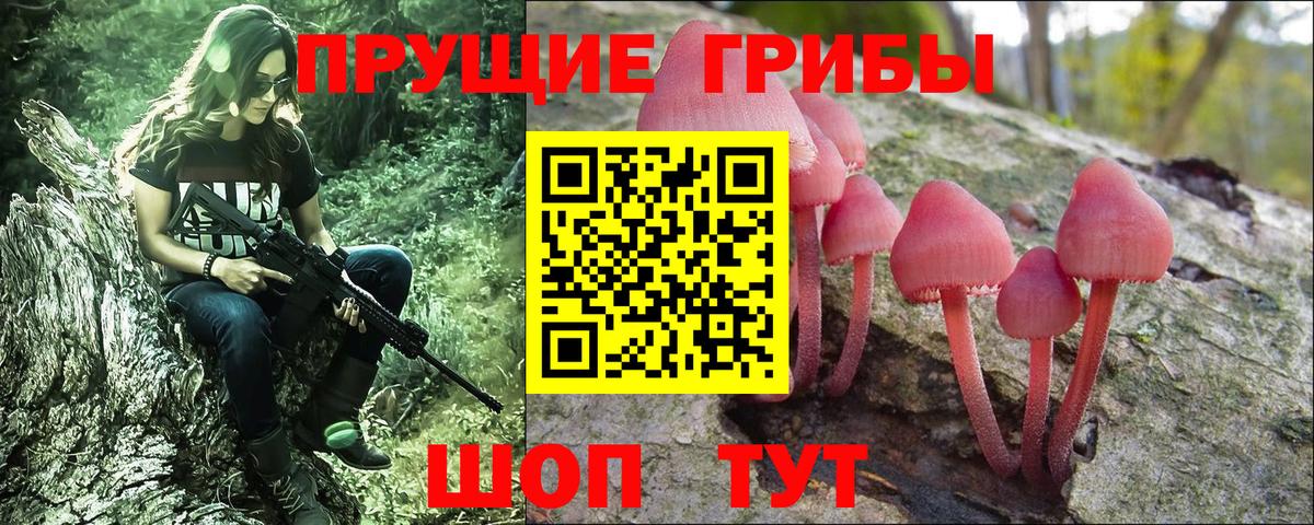 Псилоцибиновые грибы GOLDEN TEACHER  Вход с VPN  Алексин 