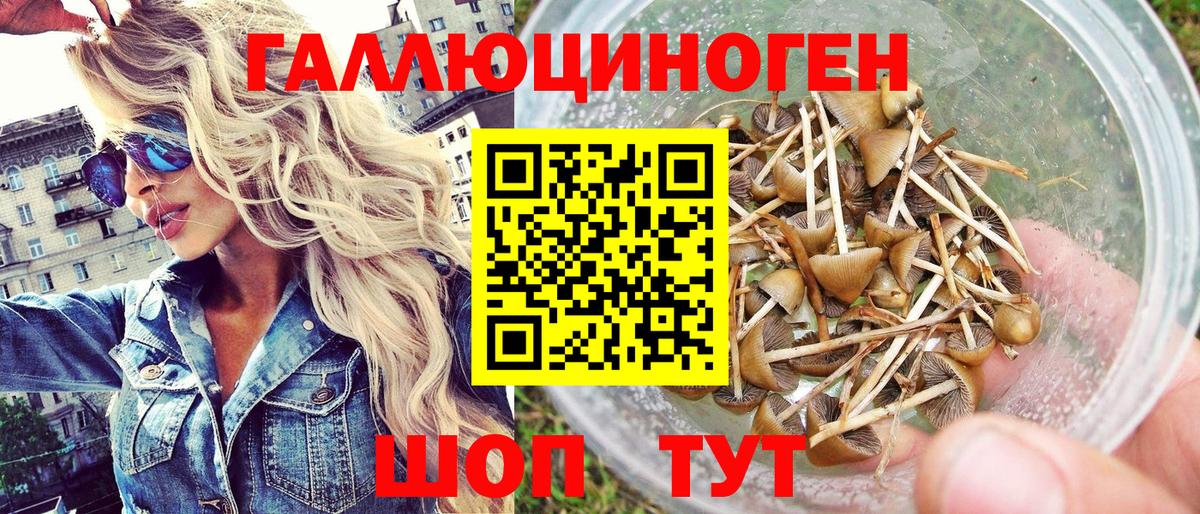 Галлюциногенные грибы Cubensis Алексин